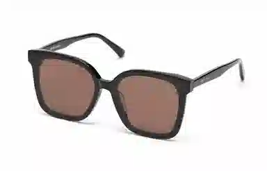 PLASTIC BRAIN THE BLACK