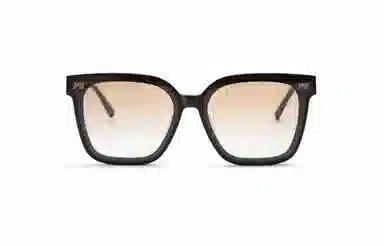 PLASTIC BRAIN THE BLACK