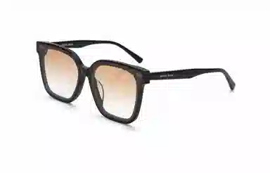 PLASTIC BRAIN THE BLACK