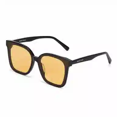 PLASTIC BRAIN THE BLACK