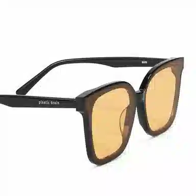 PLASTIC BRAIN THE BLACK