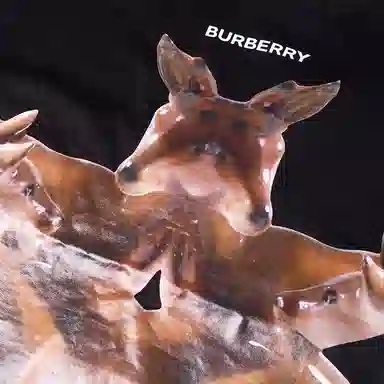 Burberry T