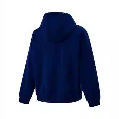 Nike SB EO FLC HOODIE GFX