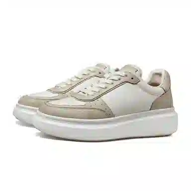 THOM WILLS Trainer