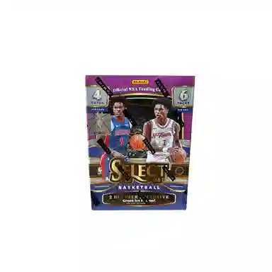 PANINI 23-24 select