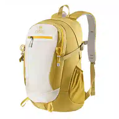 CAMEL Backpack