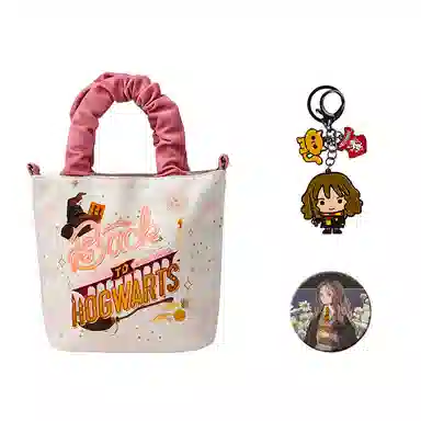 Harry Potter Keychain Badge Set