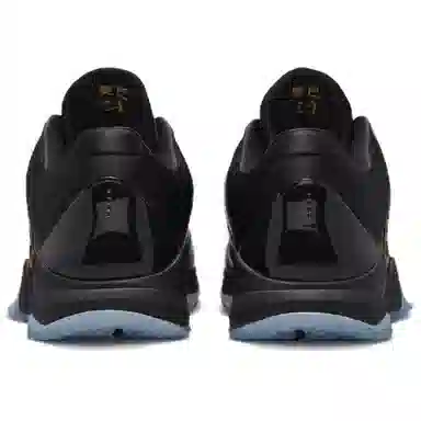Nike Kobe 5 ProtroYear of the Mamba