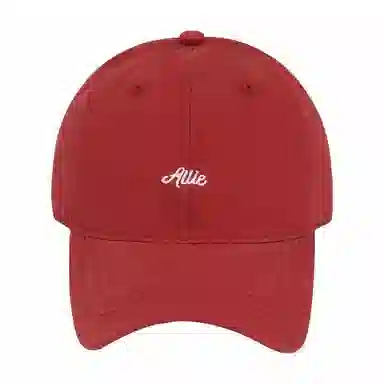 啄木鸟 春季户外休闲软顶字母刺绣简约百搭弯檐高级感显脸小 棉 鸭舌帽 男女同款情侣款