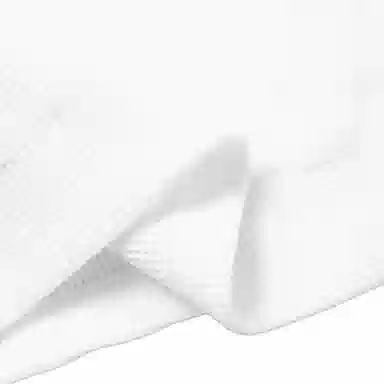 Polo Ralph Lauren Logo