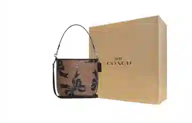 COACH City 17