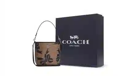 COACH City 17
