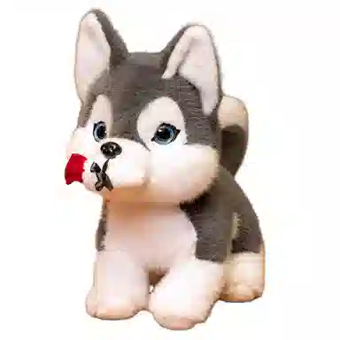 30cm40cm