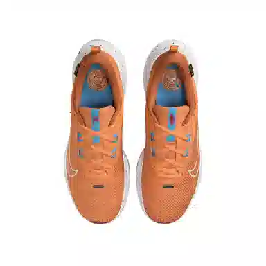 Nike Juniper Trail 2 GORE-TEX