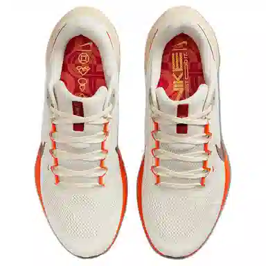 Nike Air Zoom Pegasus 41