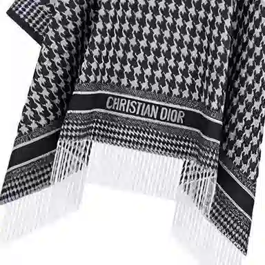 DIOR FW22