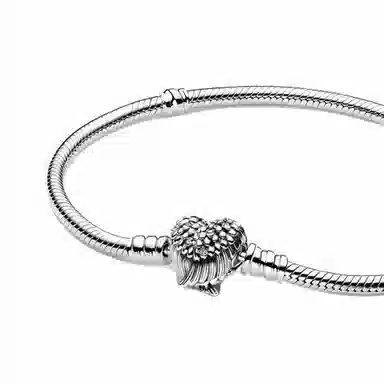 Pandora Bracelet