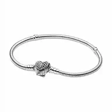 Pandora Bracelet