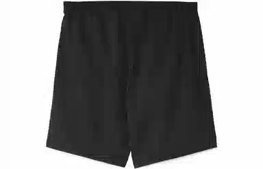 Patagonia Baggies Lights 6.5IN