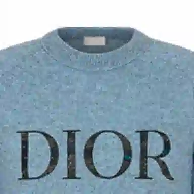 DIOR x peter doig Logo