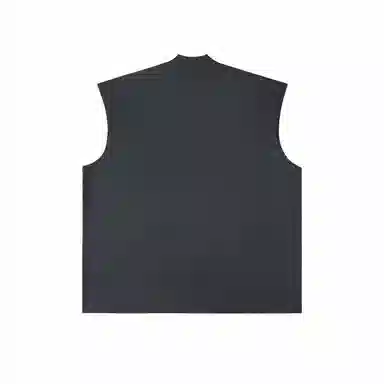 IDLT 290g