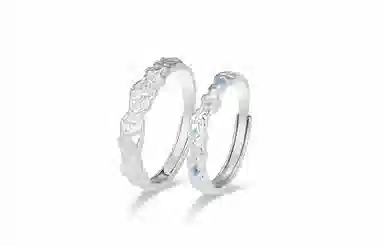 WANLIACC insins S999