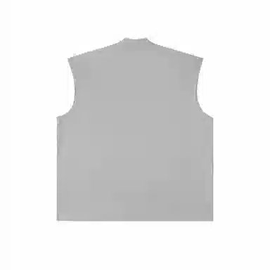 IDLT 290g