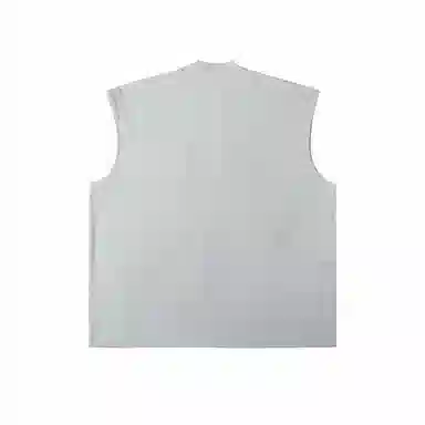 IDLT 290g