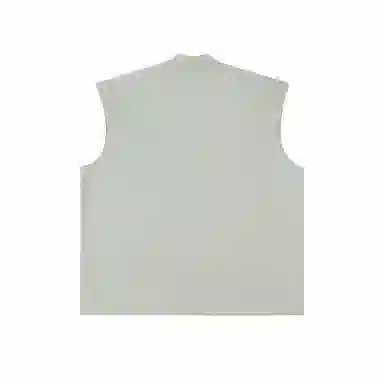 IDLT 290g