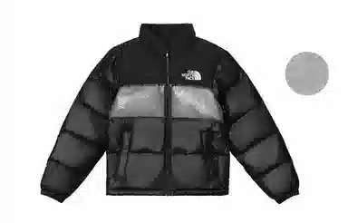 THE NORTH FACE Nuptse 811