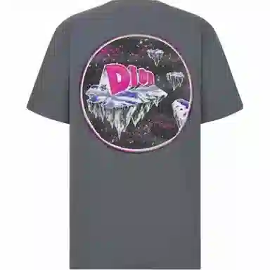 DIOR T