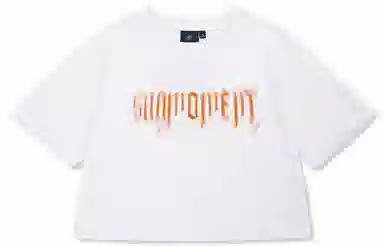 Suamoment T