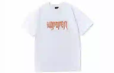Suamoment T