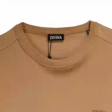 Zegna Logo T