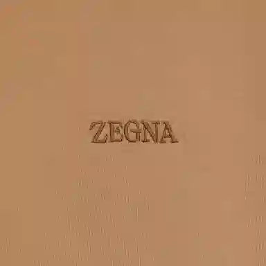 Zegna Logo T
