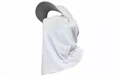 Cranta Komeia