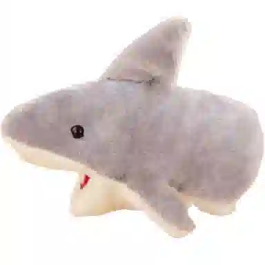 20cm