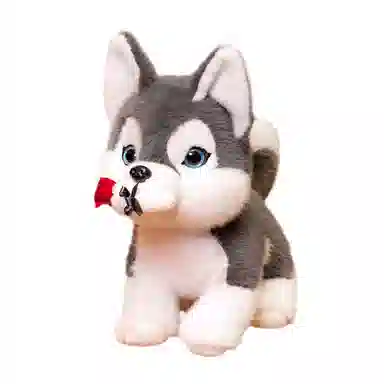 lionf 30cm