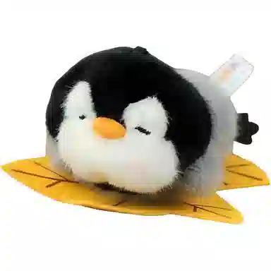 12cm