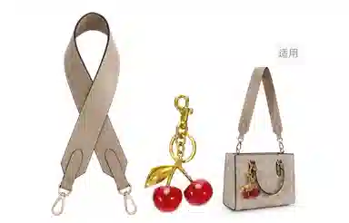 GUYI COACH Maggie tote