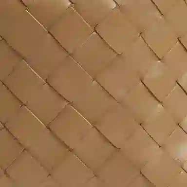 Bottega Veneta Candy Wallace