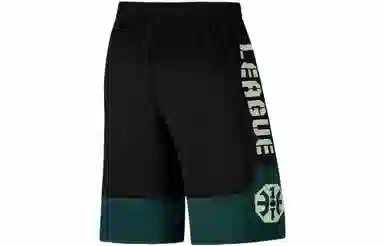 LiNing BADFIVE logo