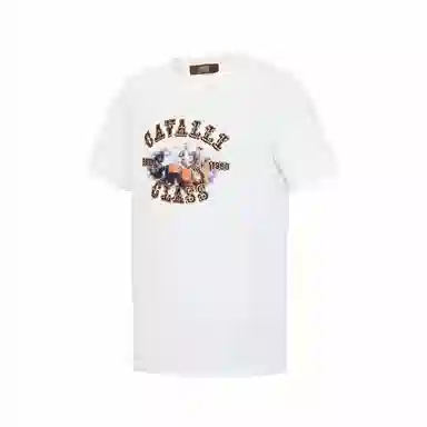 Cavalli Class T