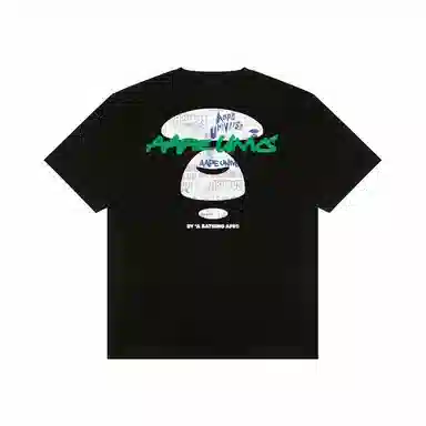 Aape T