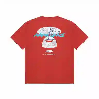 Aape T