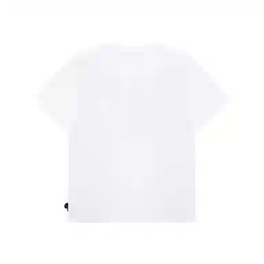 Aape T