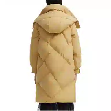 波司登 休闲时尚简约可脱卸帽羽绒服 女款