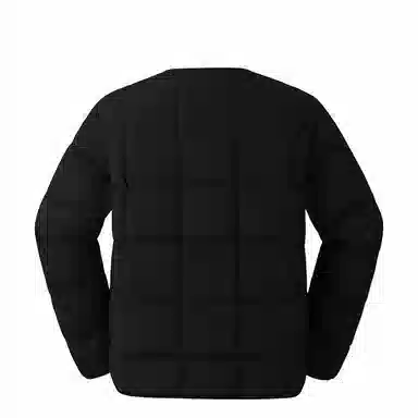 The North Face FW24 Hoodie Black