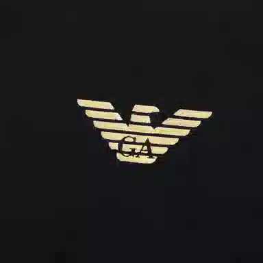 EMPORIO ARMANI LogoT