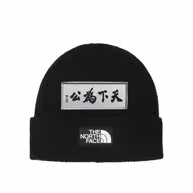 The North Face Snake Year Embroidered Beanie Black